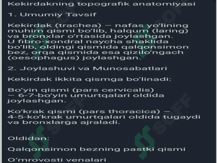 Kekirdakning topografik anatomiyasi 4