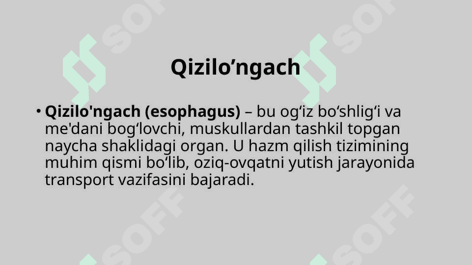 Qizilo’ngach, oshqozon va o‘n ikki barmoqli ichakning radiologik tekshirish usullari 2
