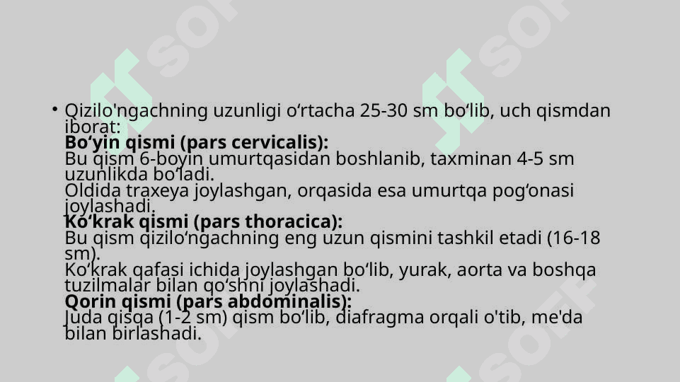 Qizilo’ngach, oshqozon va o‘n ikki barmoqli ichakning radiologik tekshirish usullari 3