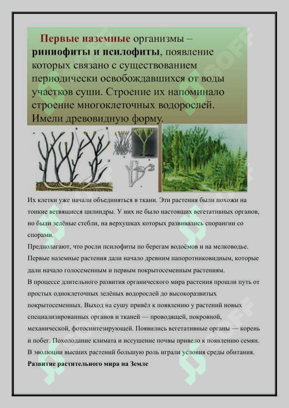 Эволюция растений и их появление в историческом процессе живой природы 6