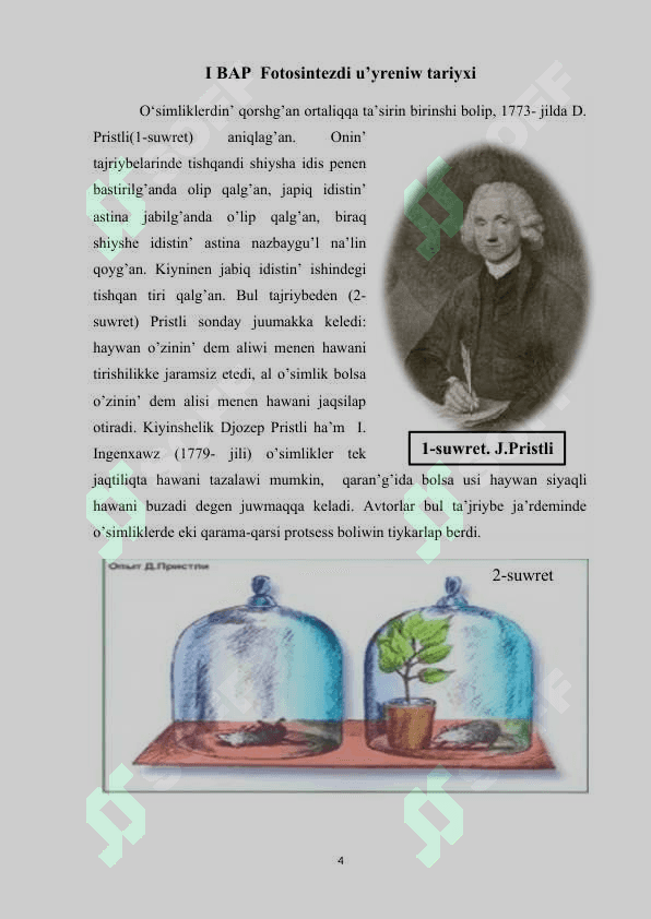 Fotosintez tabiyatta tutqan orni 4