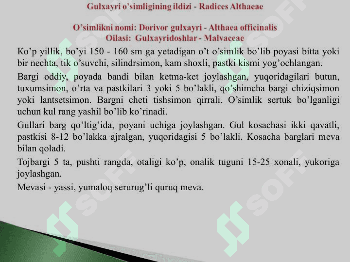 O'zbekistonda o'suvchi shifobaxsh o'simliklar va ularning qo'llanilishi 3