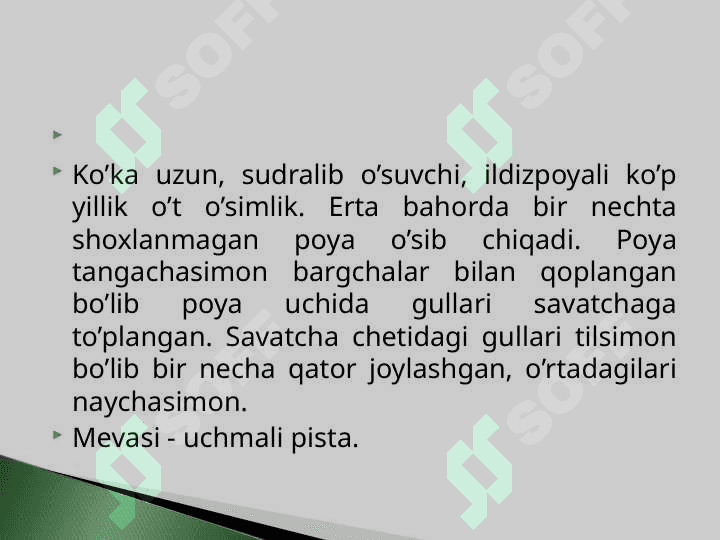 O'zbekistonda o'suvchi shifobaxsh o'simliklar va ularning qo'llanilishi 7