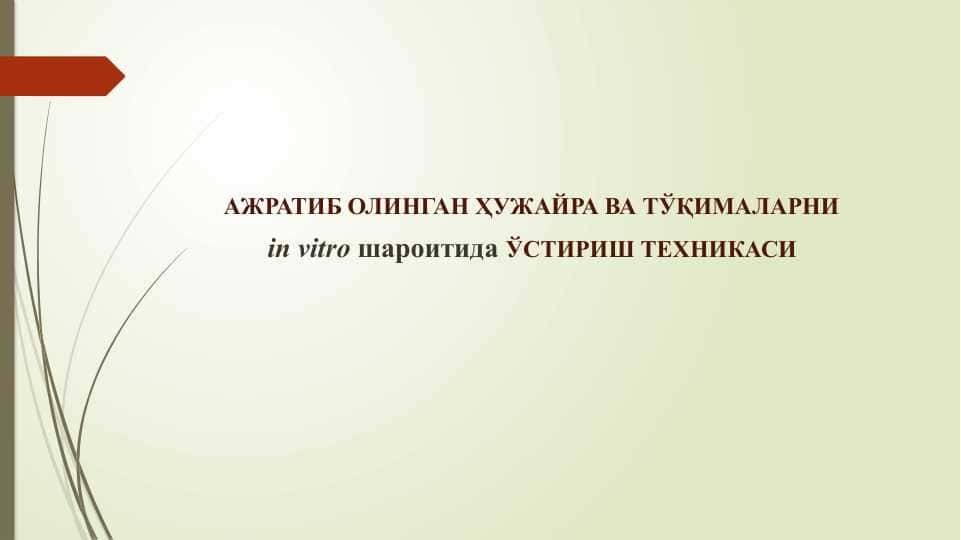 АЖРАТИБ ОЛИНГАН ҲУЖАЙРА ВА ТЎҚИМАЛАРНИ  in vitro шароитида ЎСТИРИШ ТЕХНИКАСИ