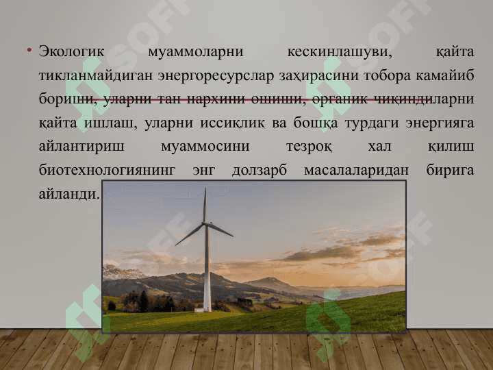 Биотехнология ёрдамида экологик вазиятни сақлаш ва қайта тиклаш жараёнлари. 4