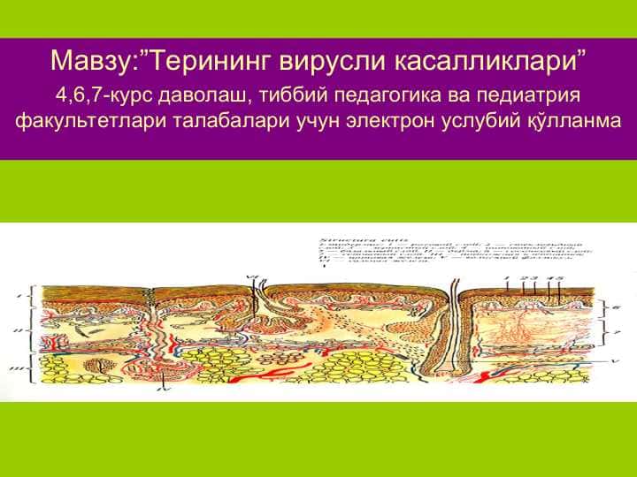 Терининг вирусли касалликлари