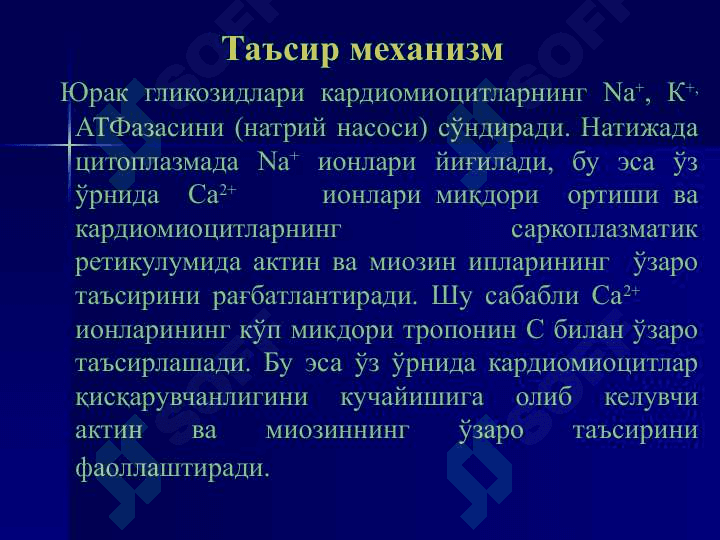 ТАРКИБИДА ЮРАК ГЛИКОЗИДЛАРИ МАВЖУД ДОРИВОР  ЎСИМЛИКЛАР 3