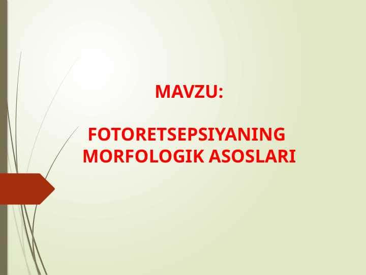 FOTORETSEPSIYANING  MORFOLOGIK ASOSLARI