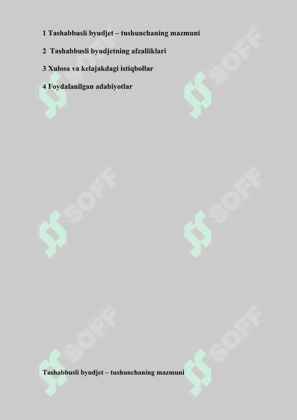Tashabbusli byujetning moxiyati va afzalligi 2