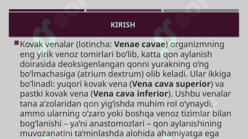 Kovak vena anastomozlari 3
