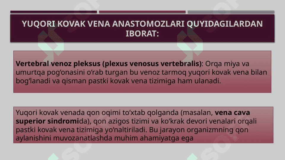 Kovak vena anastomozlari 8