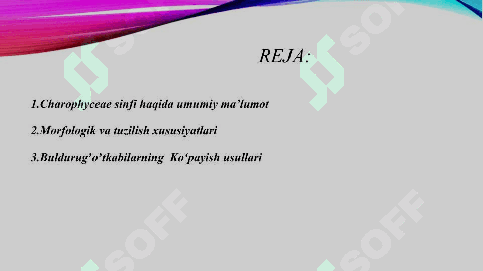 Buldurugʼ oʼtkabilar kenja sinfi va ularning ahamiyati 2