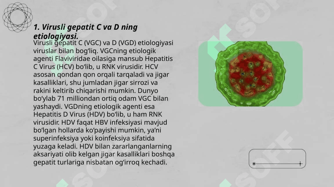 Virusli gepatit C va D etiologiyasi, epidemiologiyasi, laborator tekshiruvlar, klinikasi, davolash 3