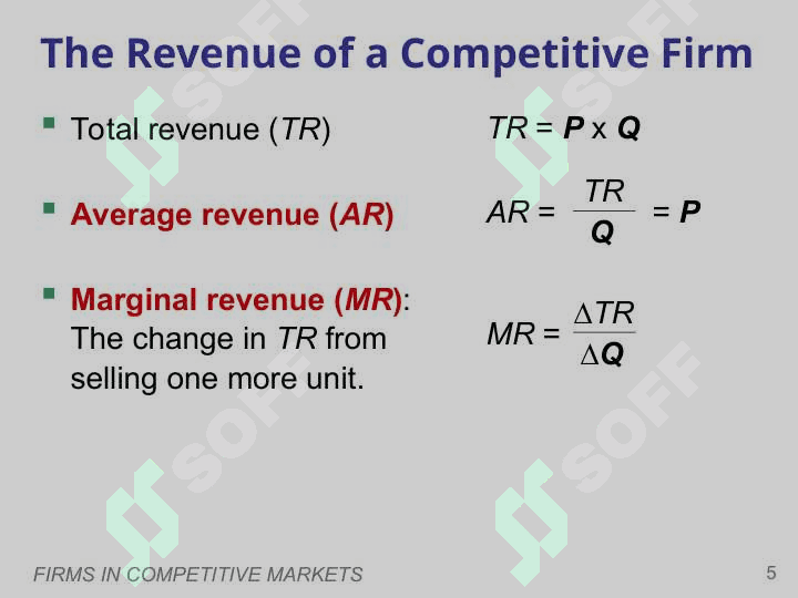 Firms in Competitive Markets 5