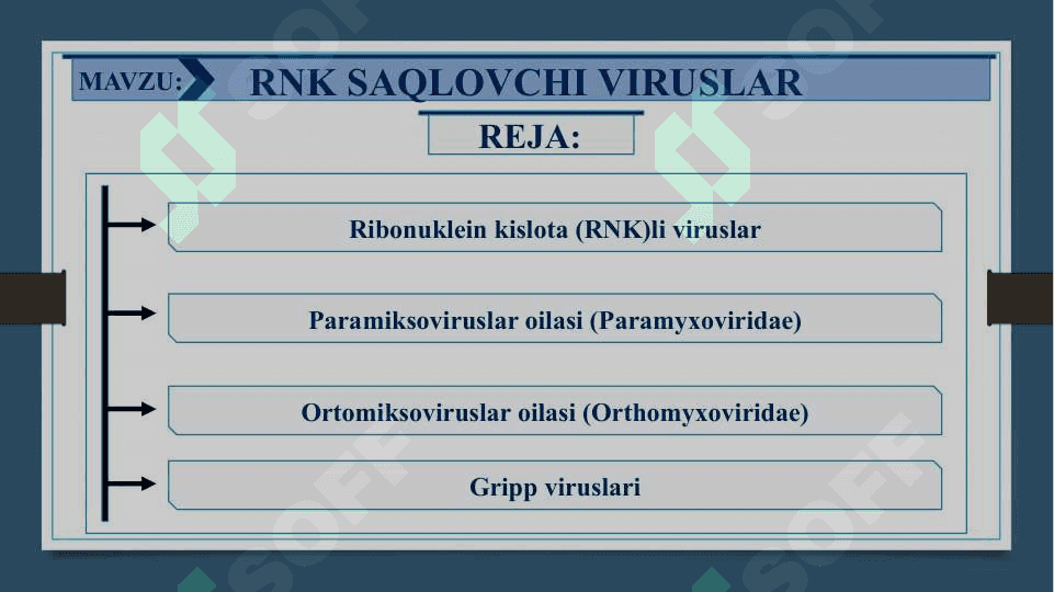 RNK SAQLOVCHI VIRUSLAR - RNK SAQLOVCHI VIRUSLAR KELTIRIB CHIQARUVCHI YUQUMLI KASALLIK QO’ZG’ATUVCHILARI. ORTOMIKSOVIRUSLAR, PARAMIKSOVIRUSLAR. XARAKTERISTIKA VA LABAROTORIYA TASHXISI 2