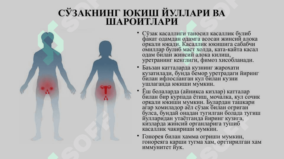 Сўзак (Гонорея) - So‘zak (Gonoreya) 6
