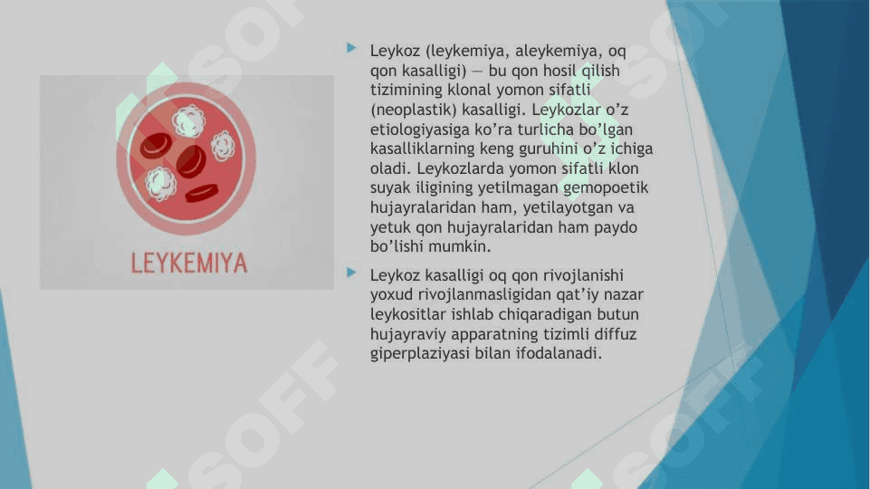 Oq qon kasalligi (leykoz) — sabablari, alomatlari, tashxislash, davolash 2