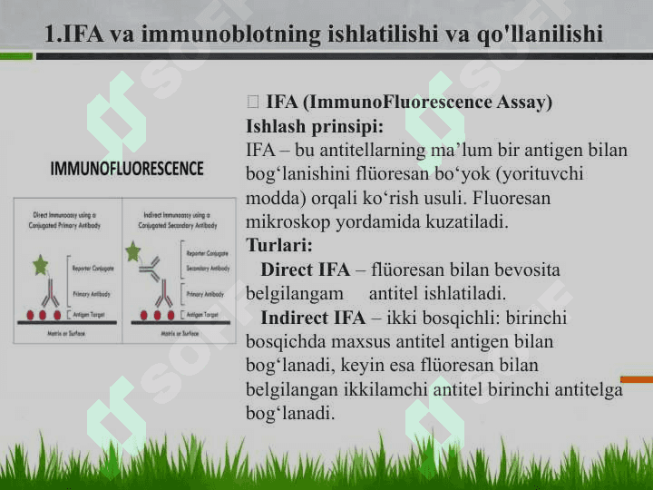 IFA,immunoblot,PZR,radioimmun reaksiyalarining yuqumli kasalliklar tashxisida qoʻllanishi, qoʻyish texnikasi 3