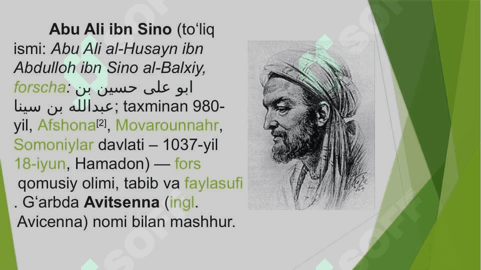 Abu Ali ibn Sinoning ilmiy merosi 2