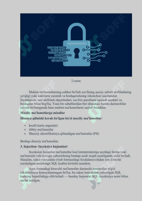 OWASP tashkilot va uning faoliyat turi 4