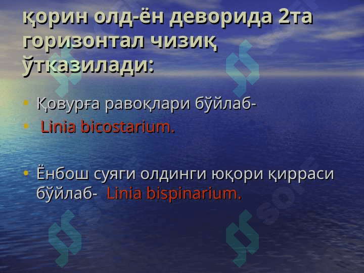 ҚОРИН ОЛД-ЁН ДЕВОРИНИНГ КЛИНИК АНАТОМИЯСИ. ҚОРИН ТАШҚИ ЧУРРАЛАРИ ВА УЛАРДАГИ ОПЕРАЦИЯЛАР 5