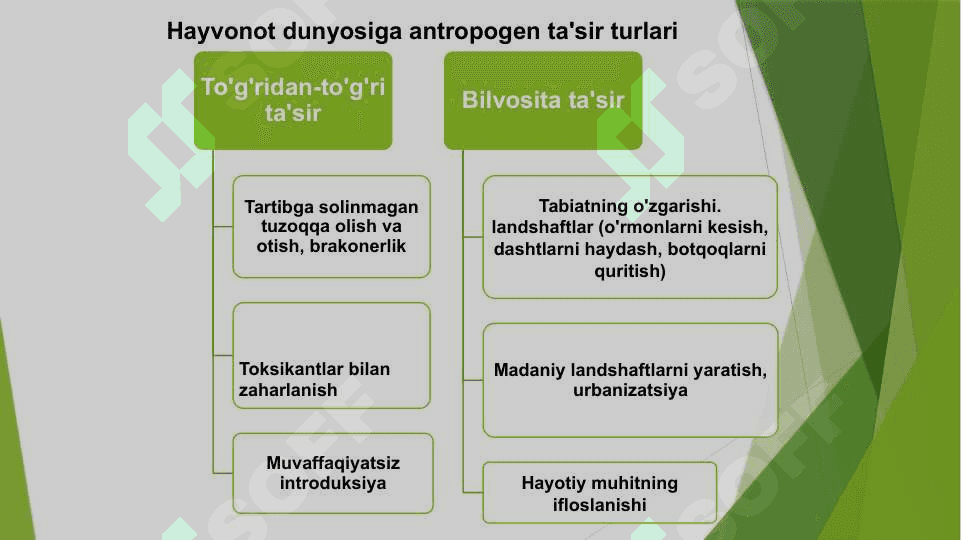 ҲАЙВОНОТ ДУНЁСИНИ МУҲОФАЗА ҚИЛИШ 7