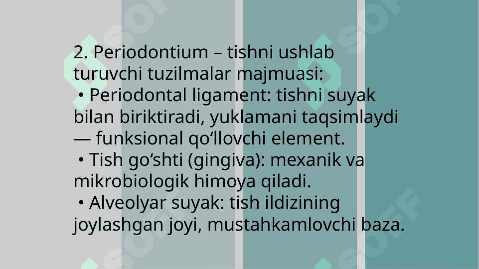 Funksional tinch holat. Stomatologiyada organning funksional elementi. Chaynov mushaklari kuchi va ishi. Fiziologik elektron hodisasi. Silliq mushak fiziologiyasi 8