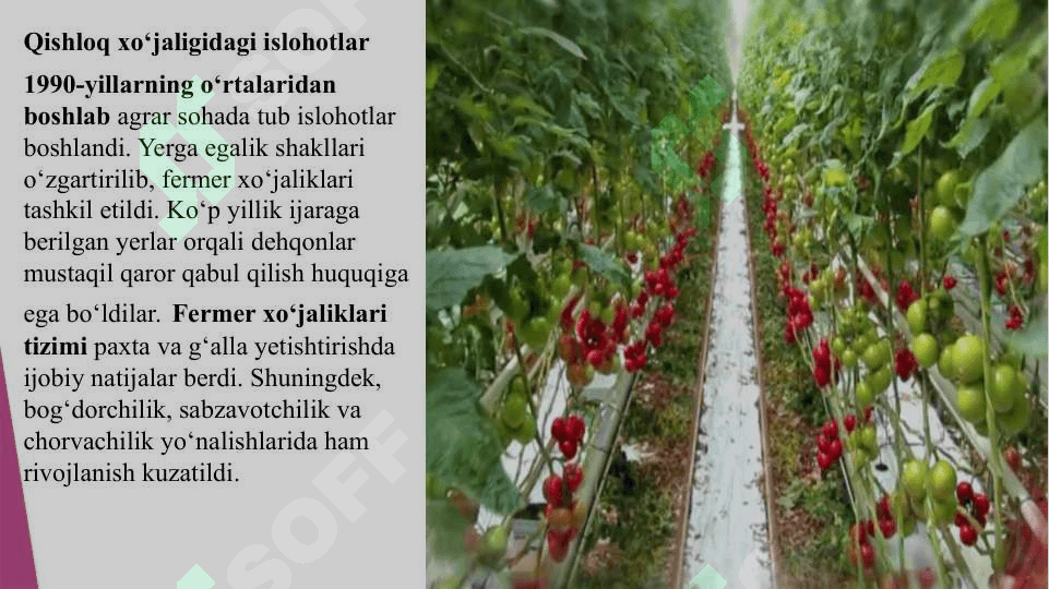 Musaqillik yillarida qishloq xo’jaligi va sanoat sohasidagi o’zgarishlar 4