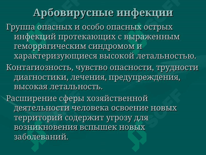 Геморрагические лихорадки 2