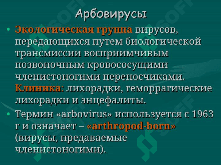Геморрагические лихорадки 3