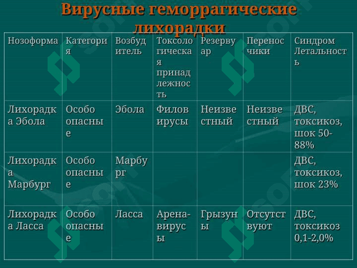 Геморрагические лихорадки 4