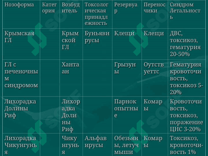Геморрагические лихорадки 7