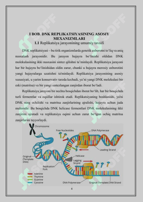 DNK replikatsiyasi va rekombinatsiyasining malekular mexanizmlari 6