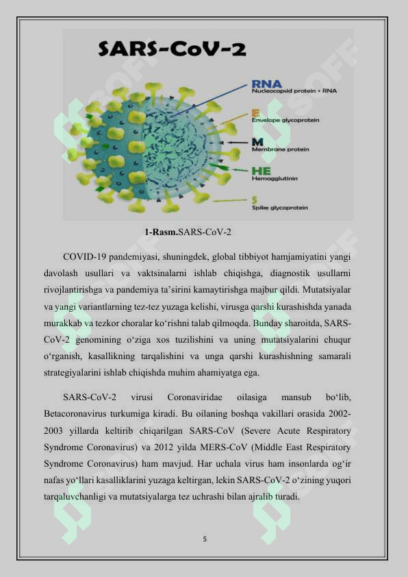Koronavirus Sars Cov-2 genomining tuzulishi va uziga xos xususiyatlari 5