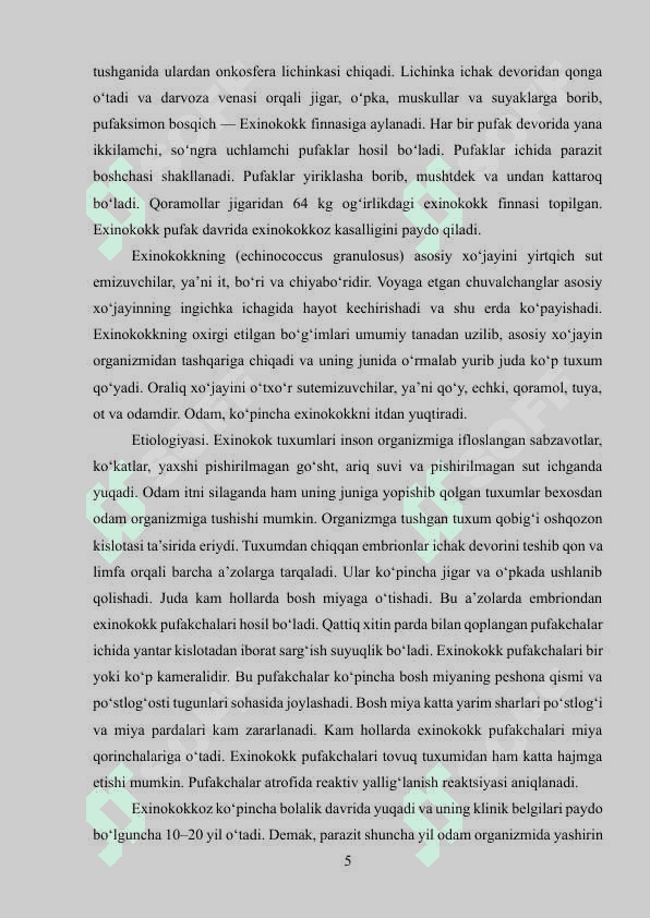 Exinokokkoz kasalligi patomarfologiyasi 5