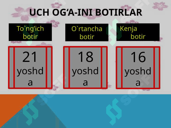 Uch og'ayni botirlar 6