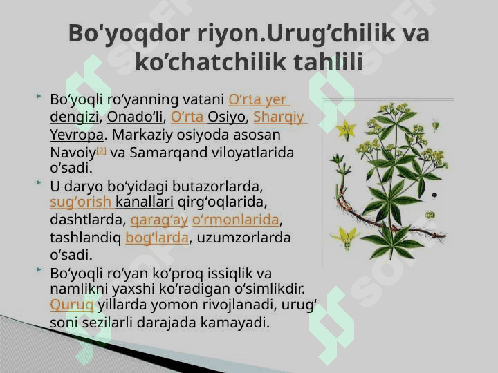 Bo'yoqdor riyon.Urug’chilik va ko’chatchilik tahlili 2