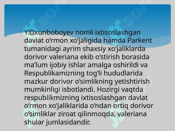 Valeriana  o‘simligi  haqida 3