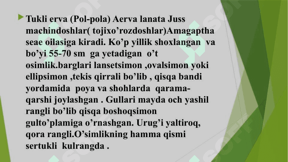 Tukli erva o’simlgi  urug’chliki va ko’chatchilik tahlili 3