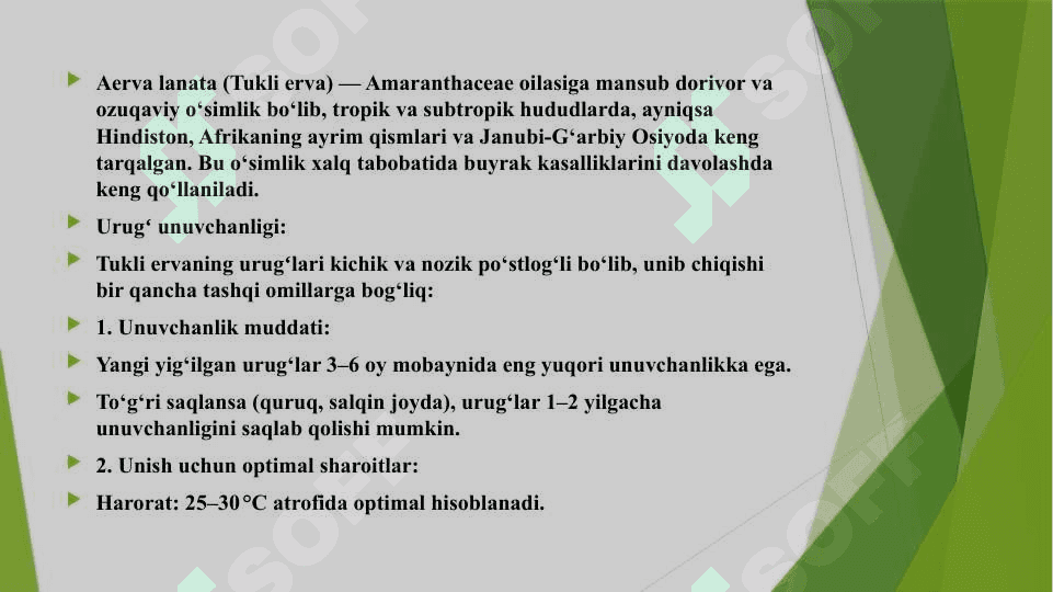 Tukli erva o’simlgi  urug’chliki va ko’chatchilik tahlili 7