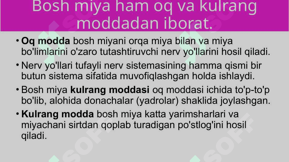 Bosh miyaning umumiy tuzilishi va yosh xususiyatlar 7
