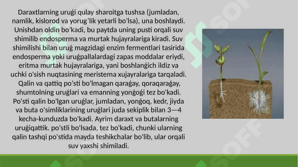 O‘simlik urug‘ining unishiga tashqi muhit ta’sirini o’rganish 3