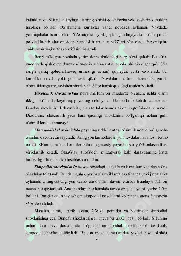 Ikki pallali o’simliklarni poyasining ichki tuzilishi 4