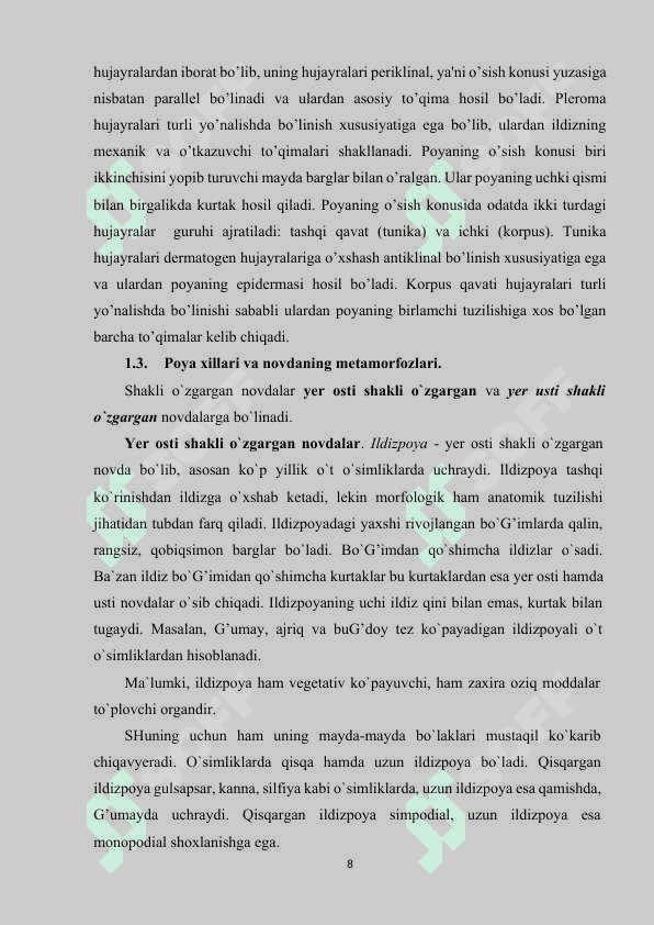 Ikki pallali o’simliklarni poyasining ichki tuzilishi 8