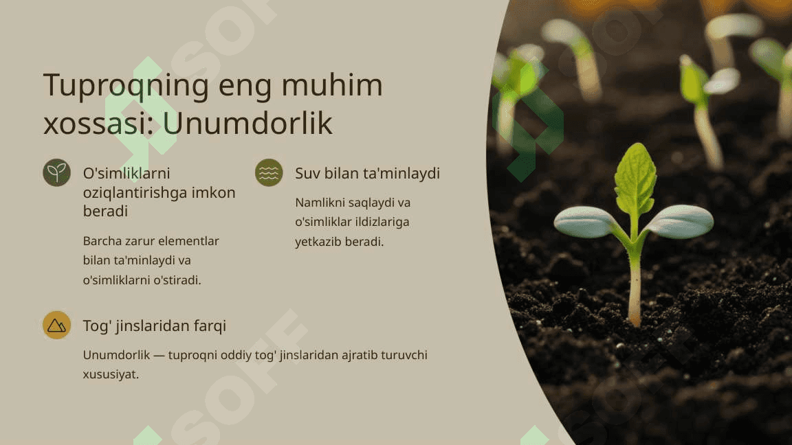 Tuproq va uning tabiiy xususiyatlari 1