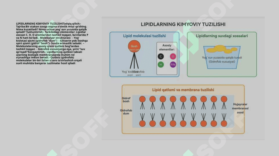 LIPIDLAR 5E moduli asosida tayyorlangan taqdimot 5