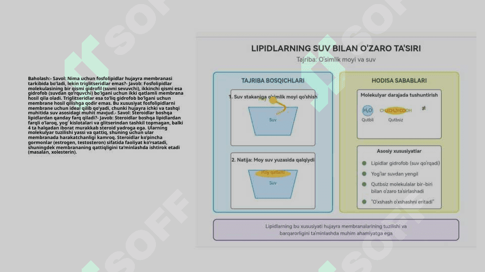 LIPIDLAR 5E moduli asosida tayyorlangan taqdimot 8