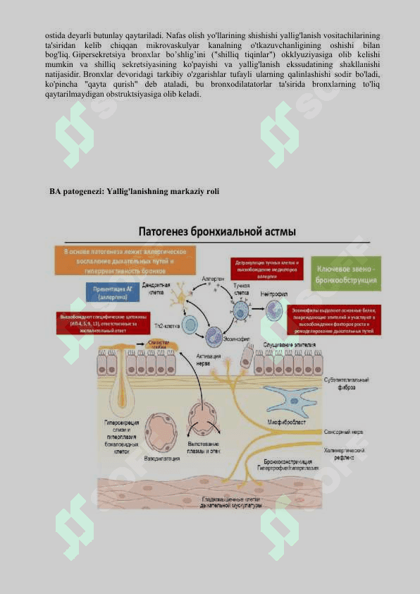 Bronxial astma:ta'rifi, tarqalishi, etiologiyasi, patogenezi, klinikasi va davolash dasturlari. 3