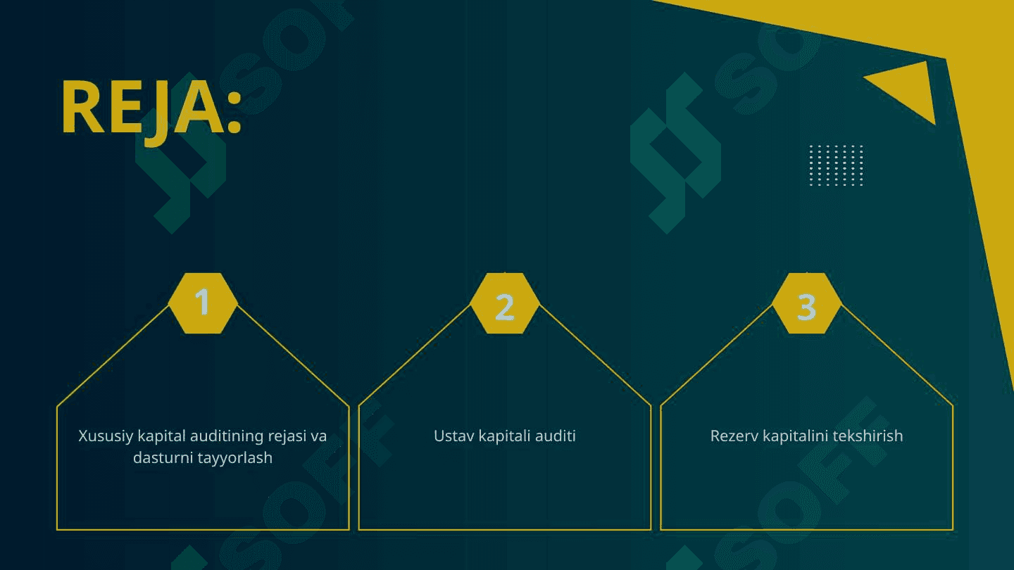Xususiy kapital auditining maqsadi, vazifalari va ma’lumot manbalari 2