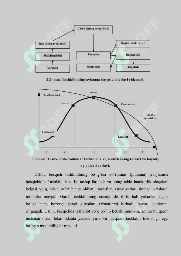 Tashkilot boshqaruv tizimi sifatida 7